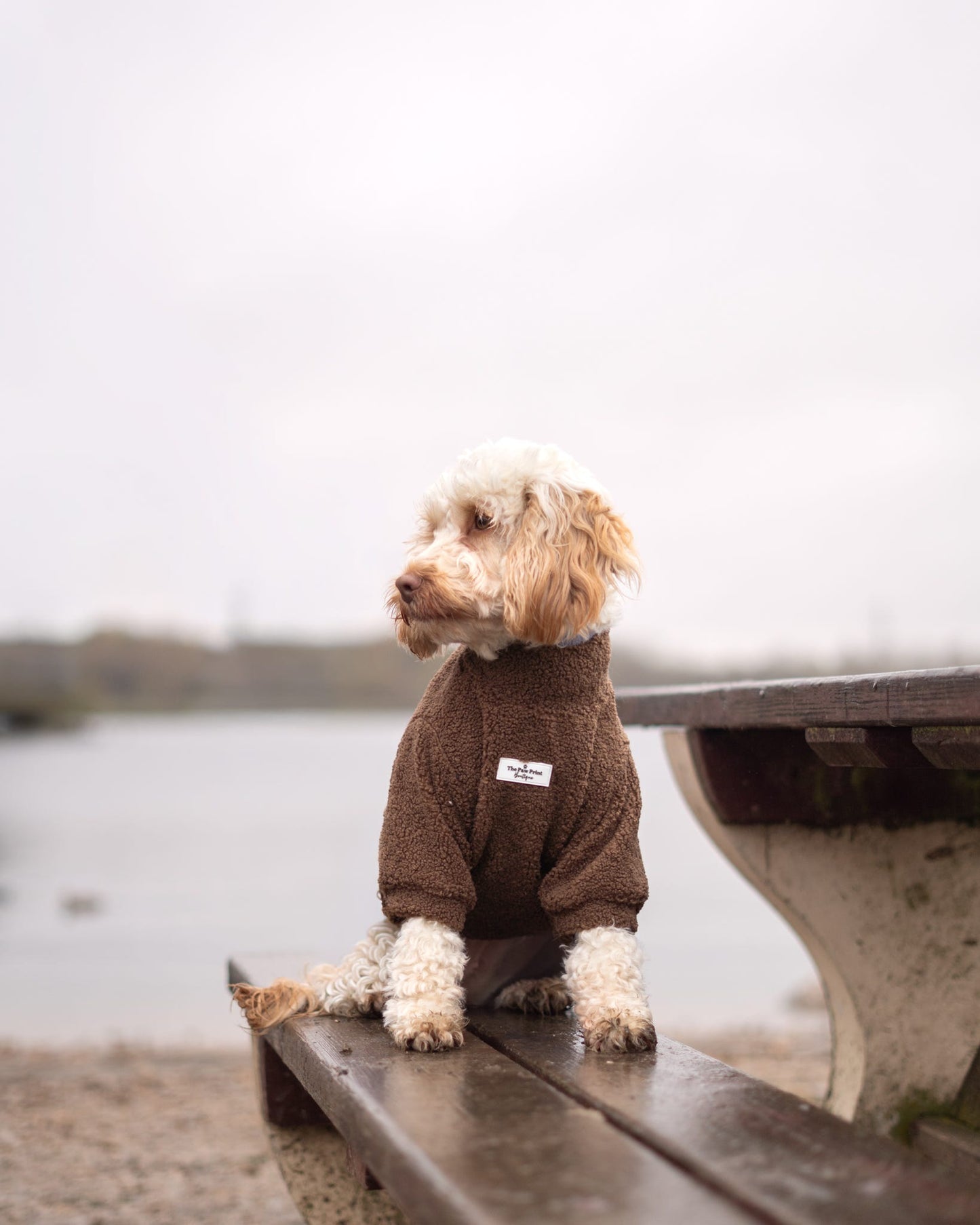 Teddy Fleece - Brownie