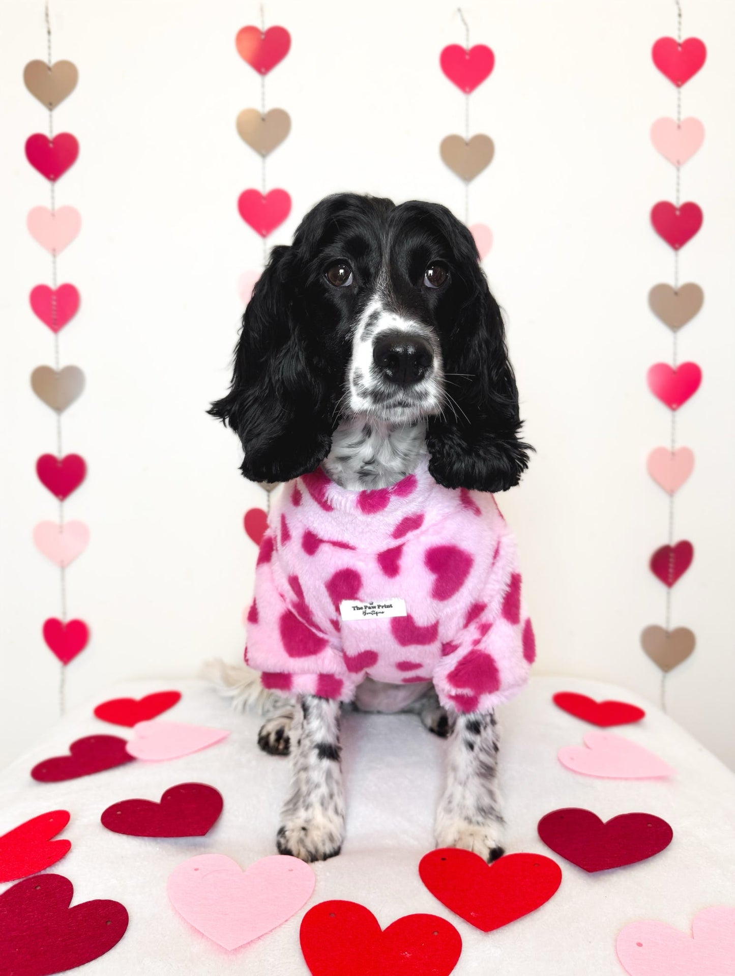 The Love Hearts Fluffy & Fabulous Fleece