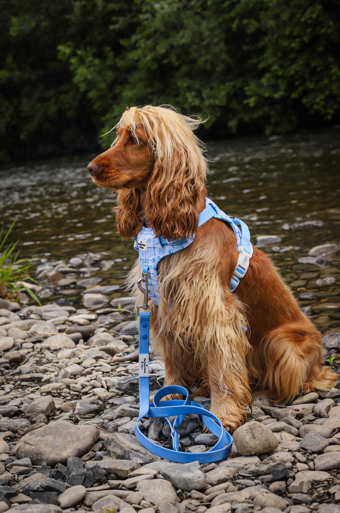 Waterproof Lead - Cornflower Blue
