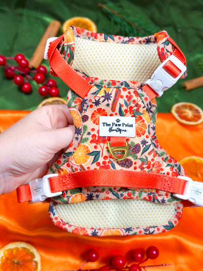 Winter Scents Adventure Paws Harness