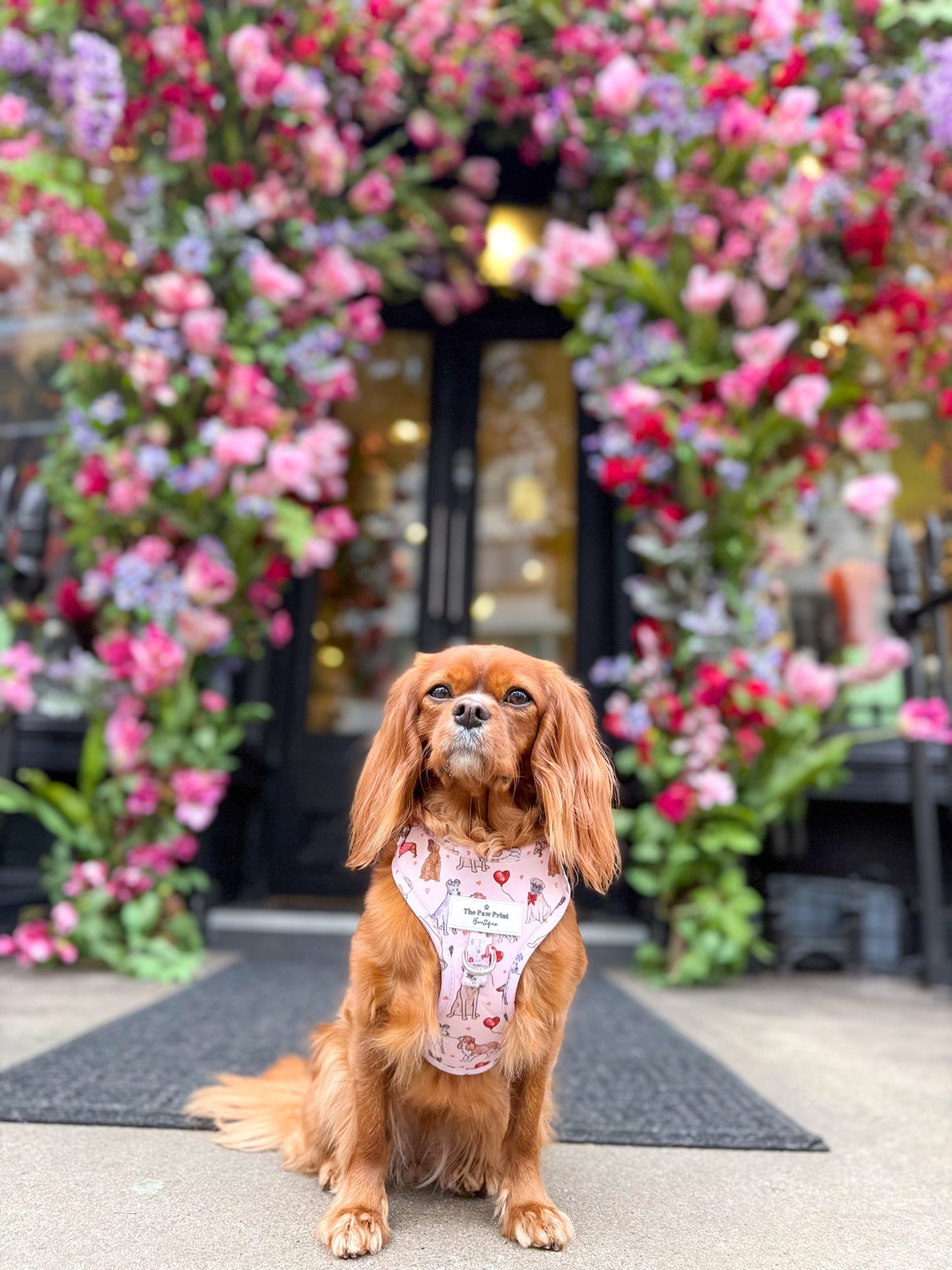 The Puppy Love Adjustable Harness