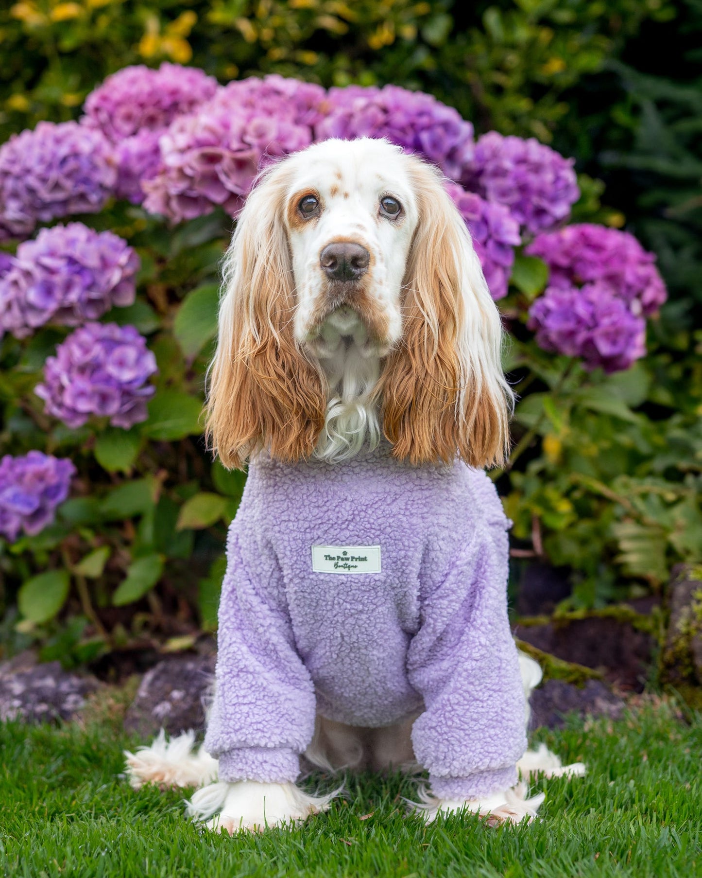 The Lilac Teddy Fleece