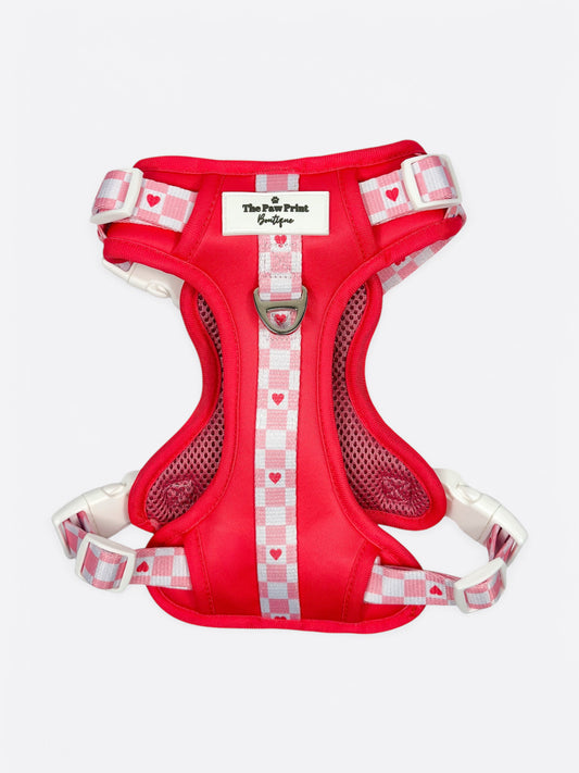 The Fur-ever Love Adventure Paws Harness