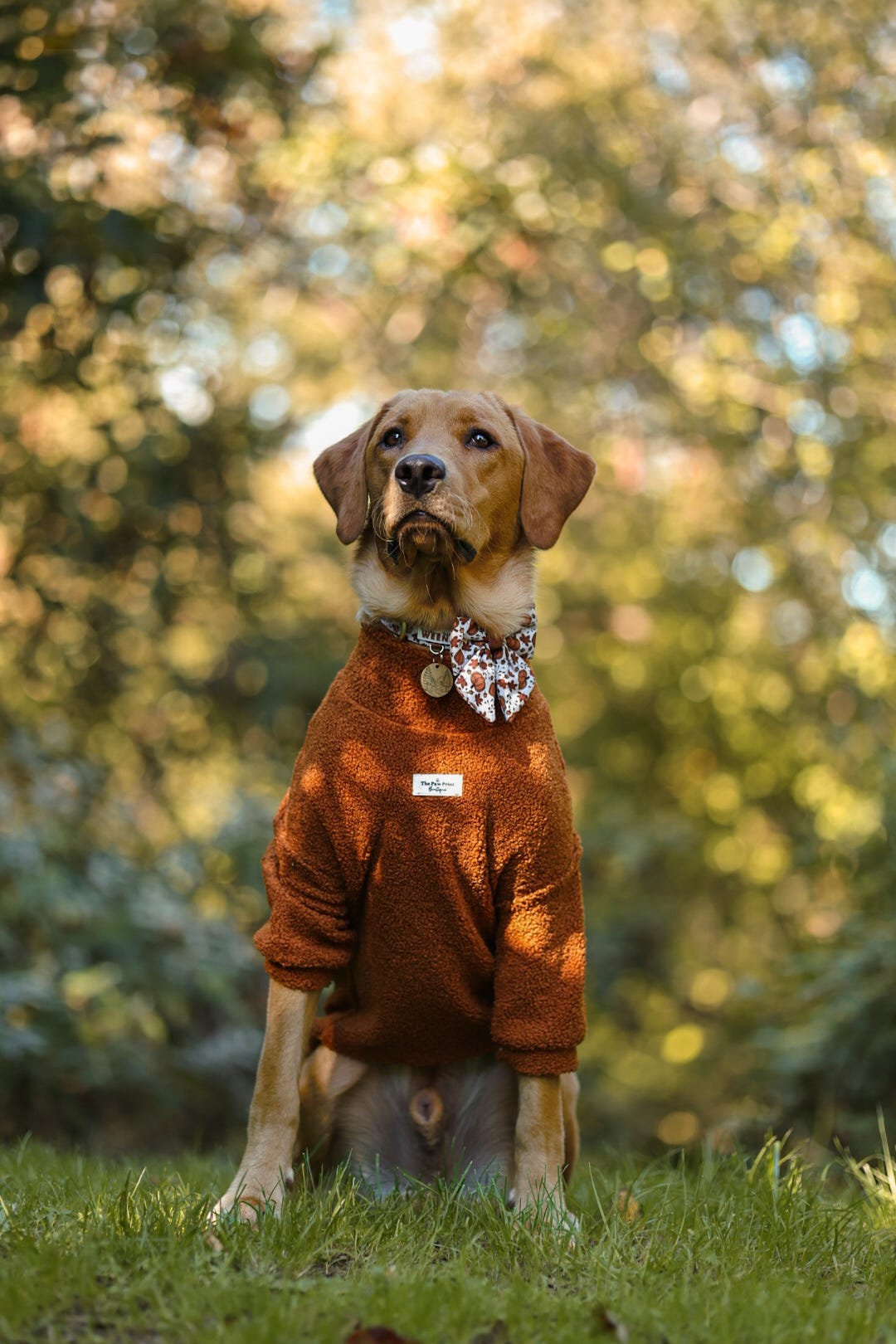 Teddy Fleece - Gingerbread