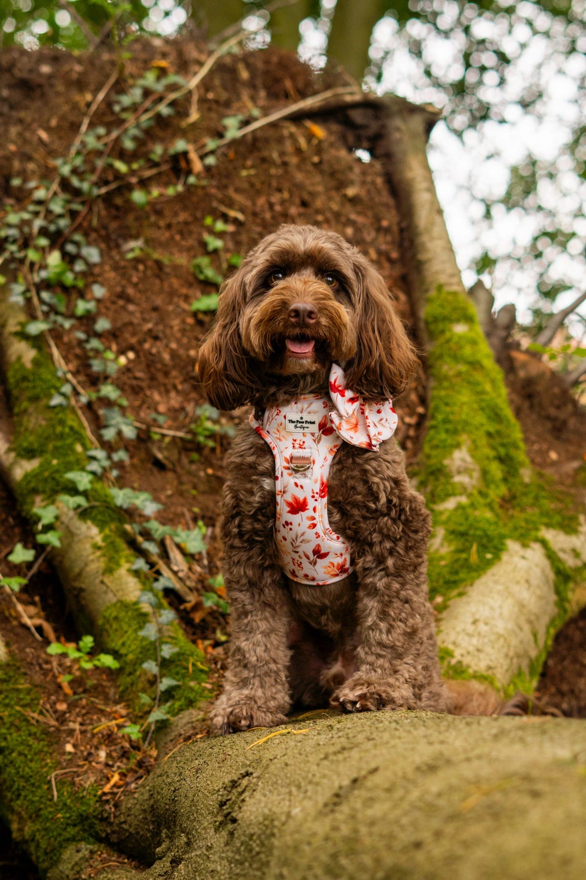 Maple Meadows Bow Tie