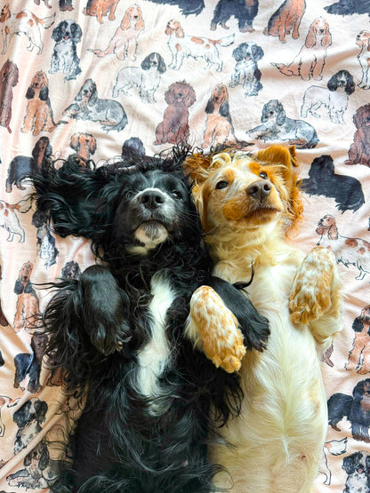 The Spaniel Human Blanket