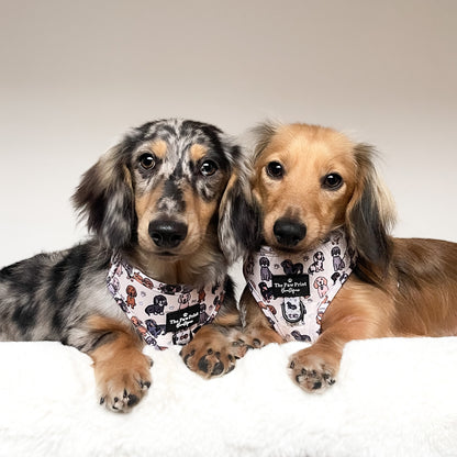 The Dachshund Adjustable Harness