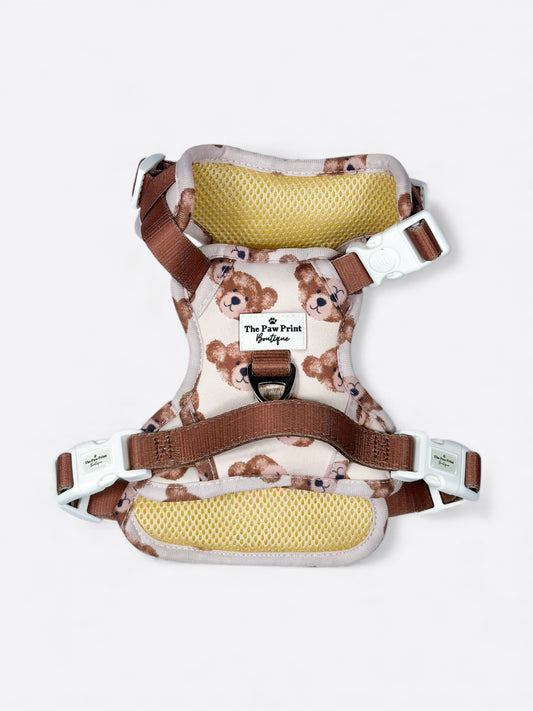 The Little Bear Cub Adventure Paws Harness