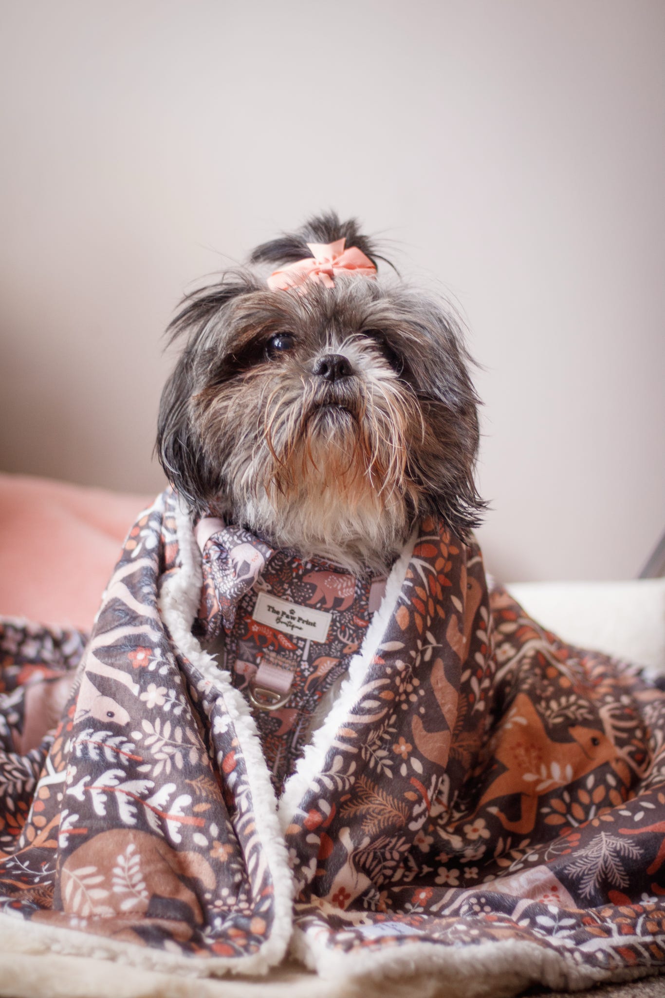 Woodland Wilderness Dog Blanket