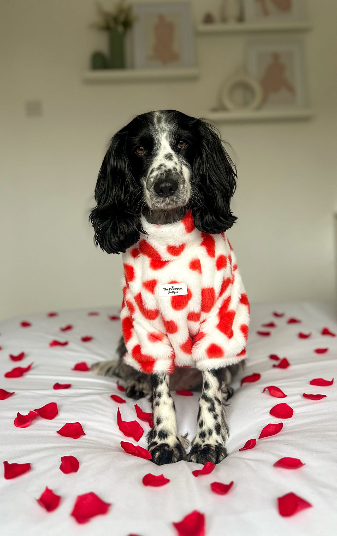 The Love Hearts Fluffy & Fabulous Fleece - Red & White