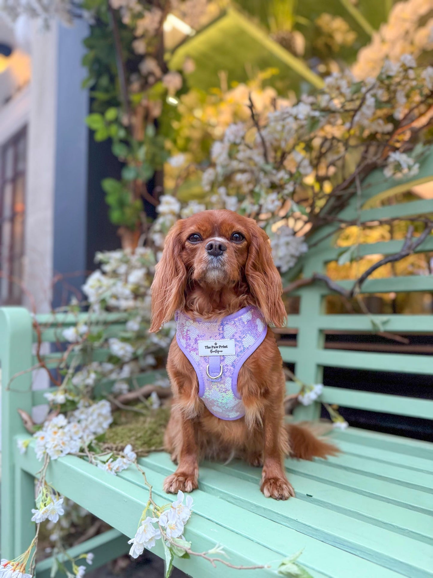 The Sassy in Sequins - Lilac Adjustable Harness