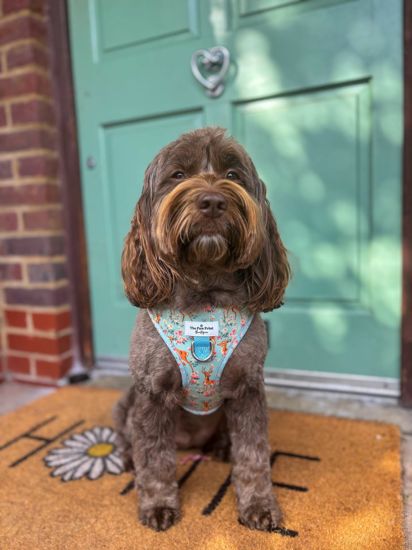 Bambi in Bloom Adjustable Harness