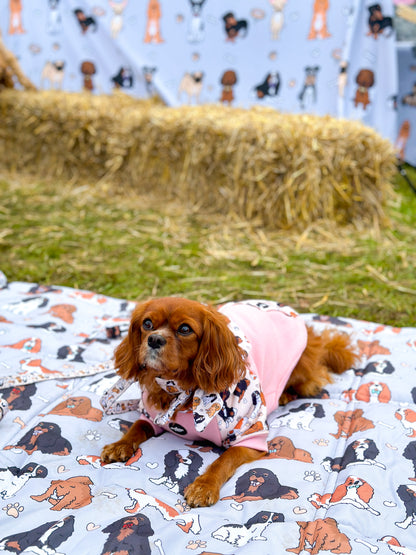 The Cavalier Picnic Mat