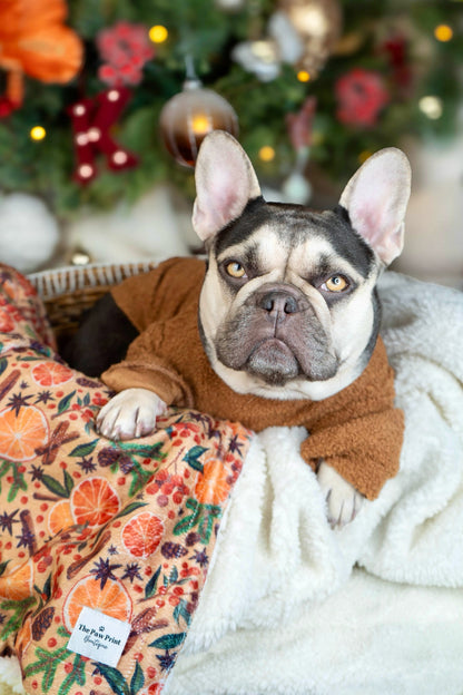 The Winter Scents Dog Blanket