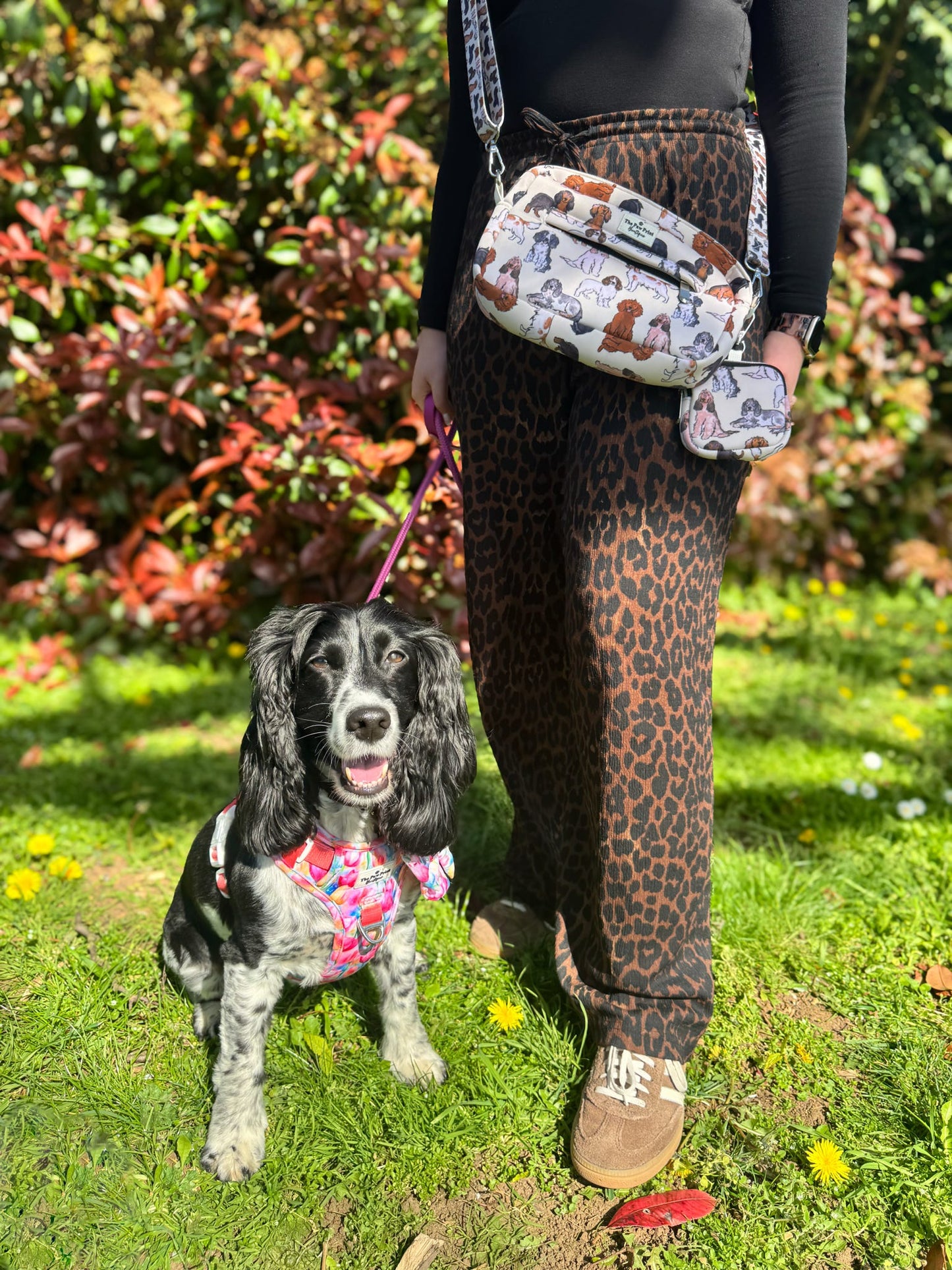 The Spaniels Dog Walking Bag