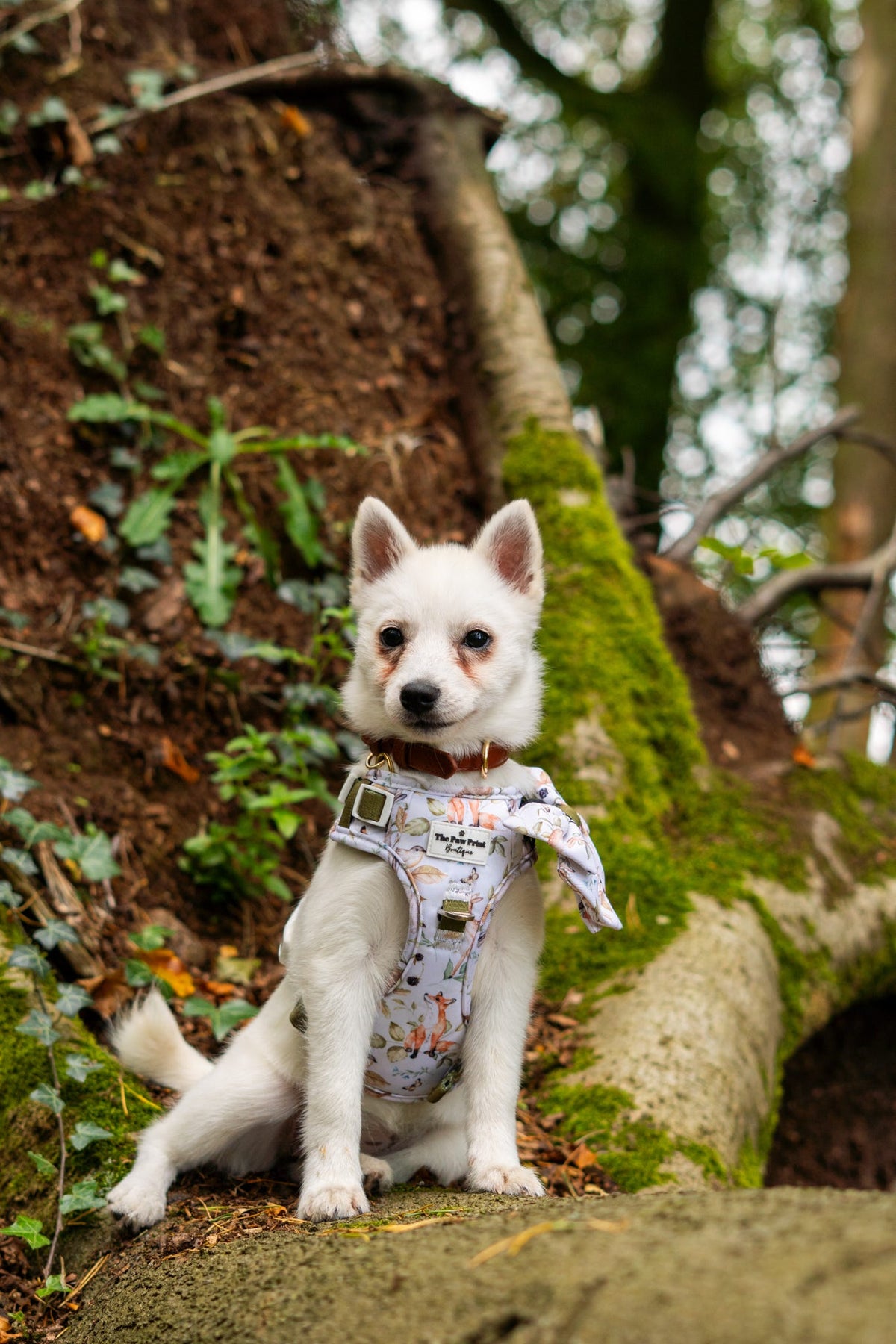 Whimsical Wildlife Bow Tie