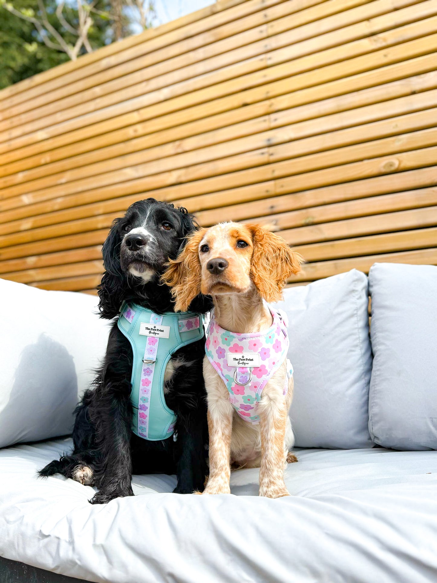 The Flower Power Adjustable Harness