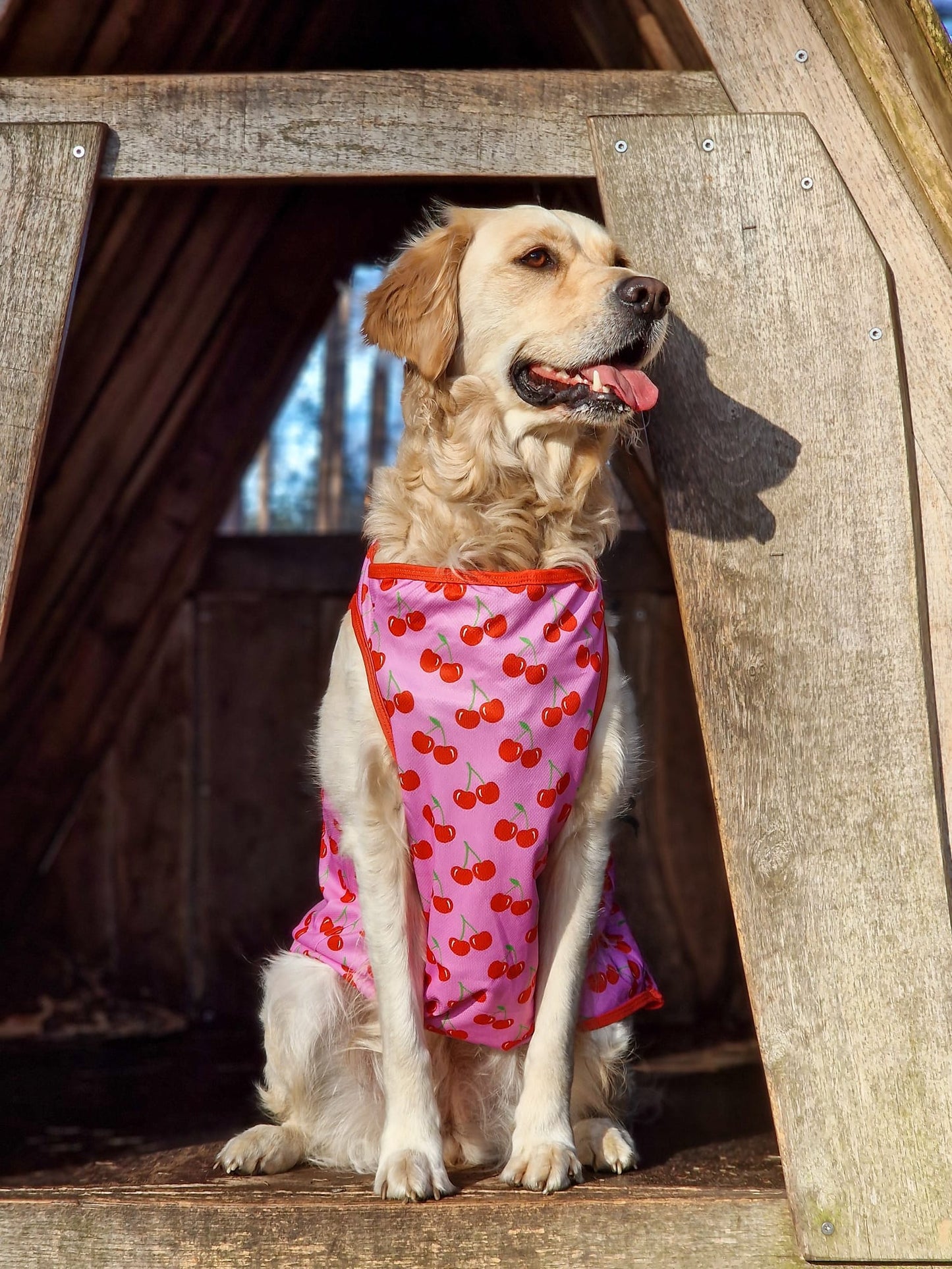 The Cherry on Top Cooling Vest