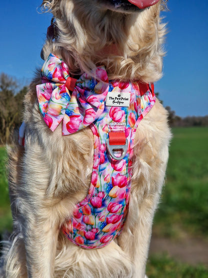 The Tulip Field Adventure Paws Harness