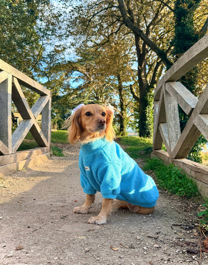Teddy Fleece - Aqua
