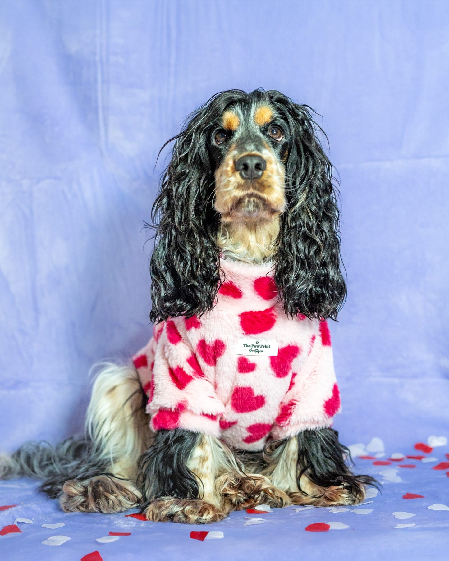 The Love Hearts Fluffy & Fabulous Fleece