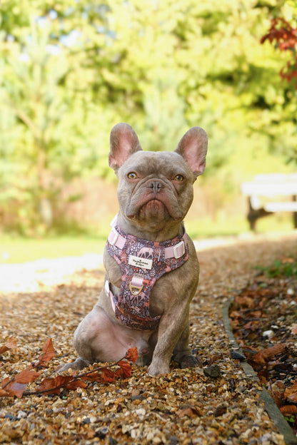 Woodland Wilderness Adventure Paws Harness