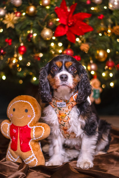 Gingerbread Grove Adventure Paws Harness