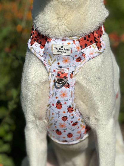 Ladybird Lane Adventure Paws Harness