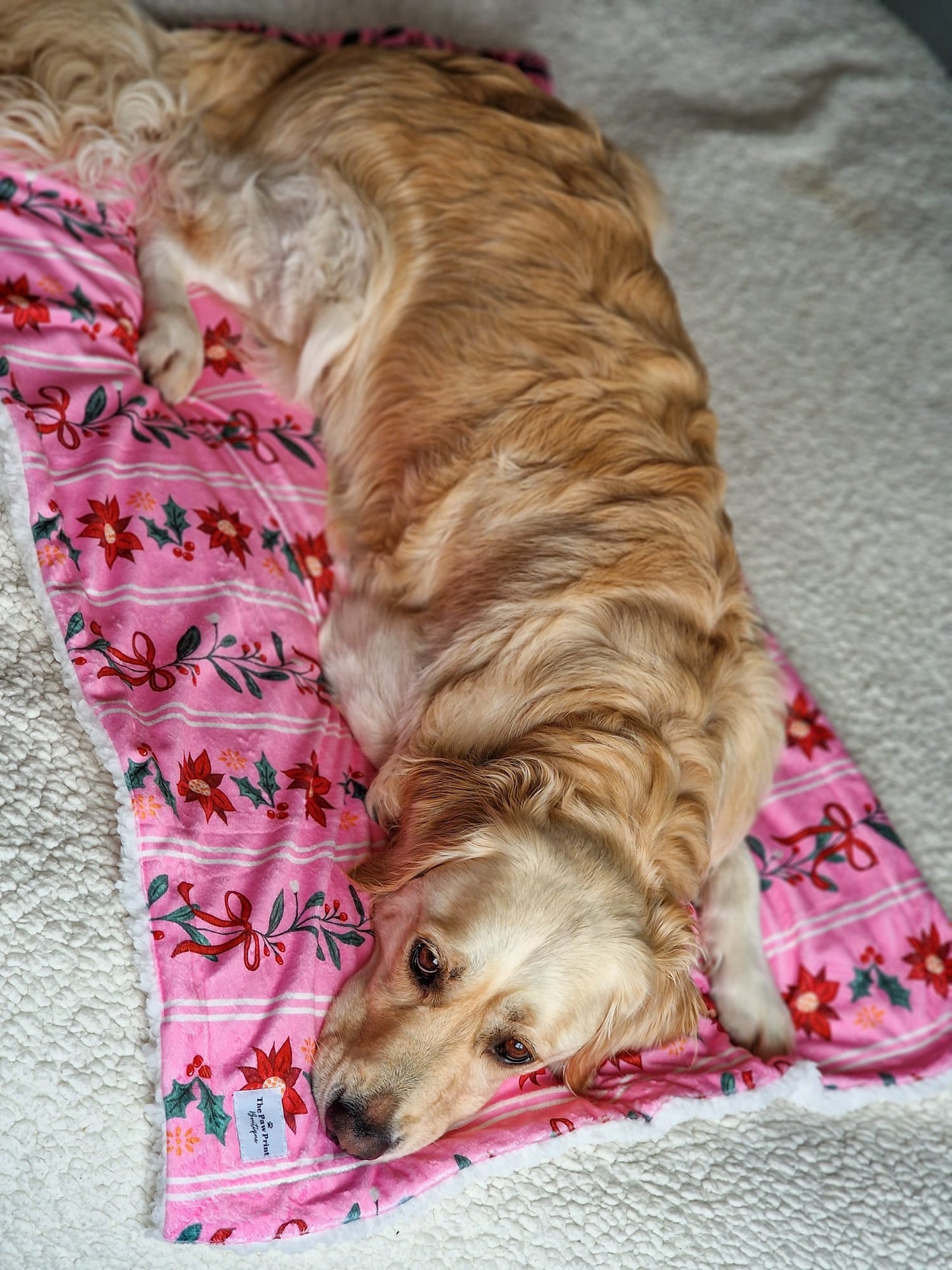 Merry Pinkmas Dog Blanket