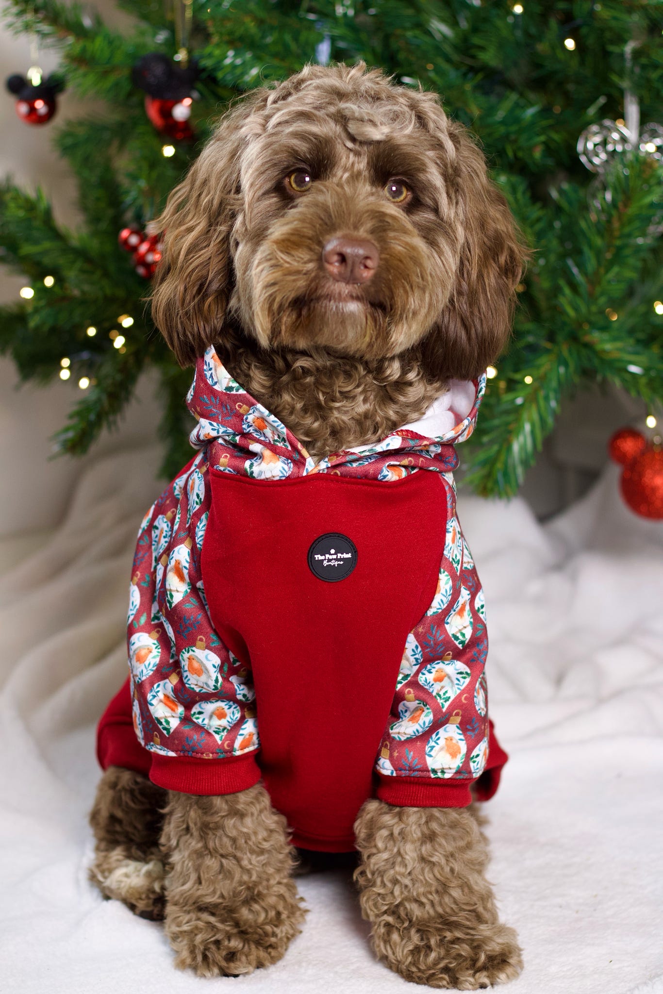 The Rockin' Robin Dog Hoodie