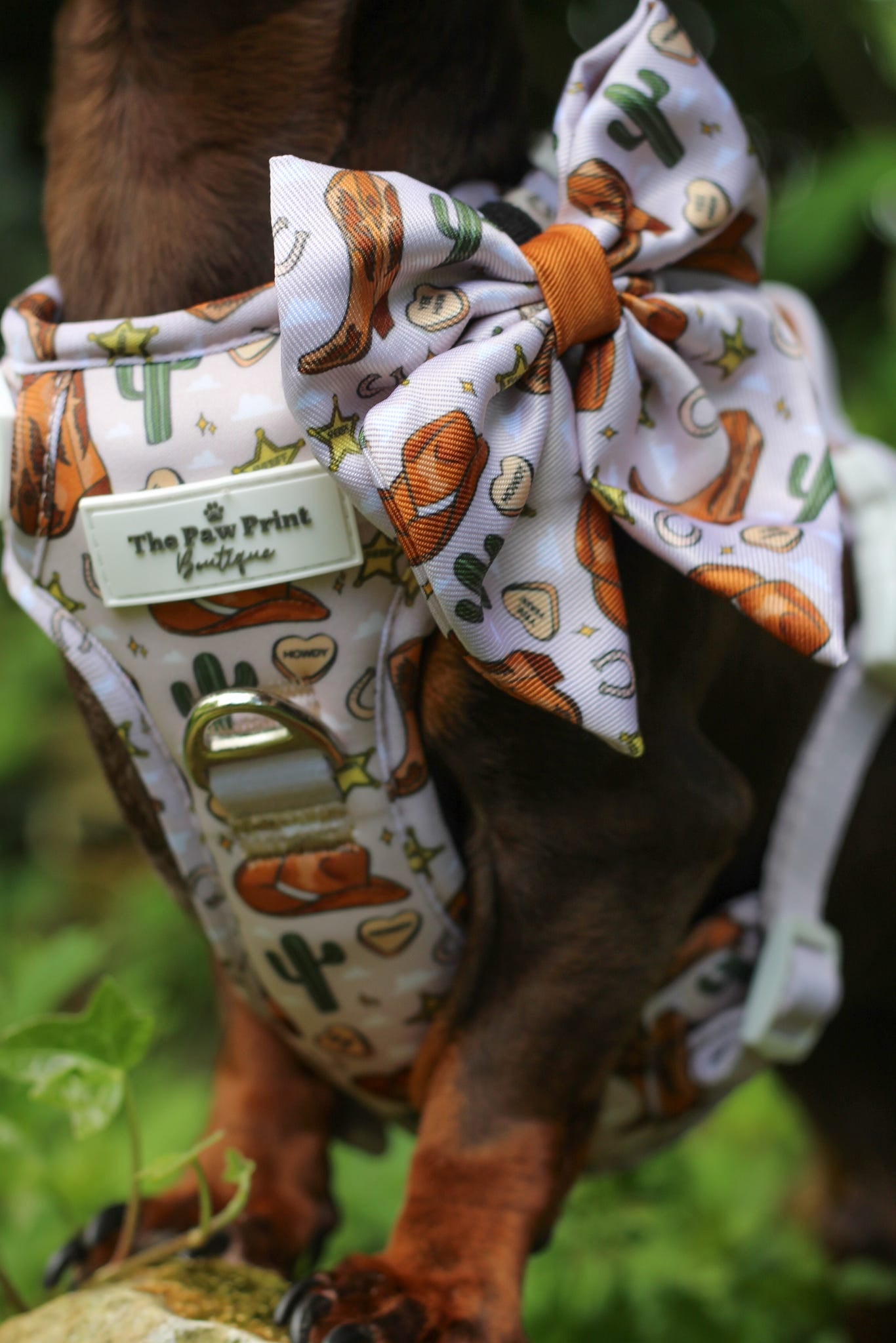The Howdy Pawtner Bow Tie
