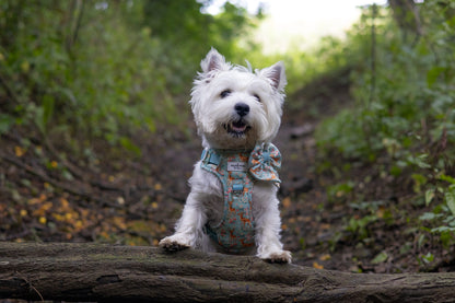 Bambi in Bloom Bow Tie