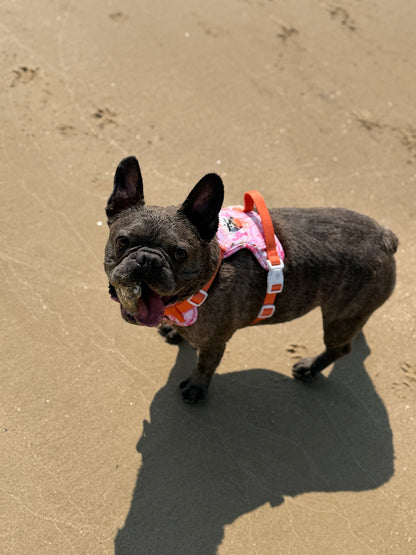 Under the Sea Paws Harness