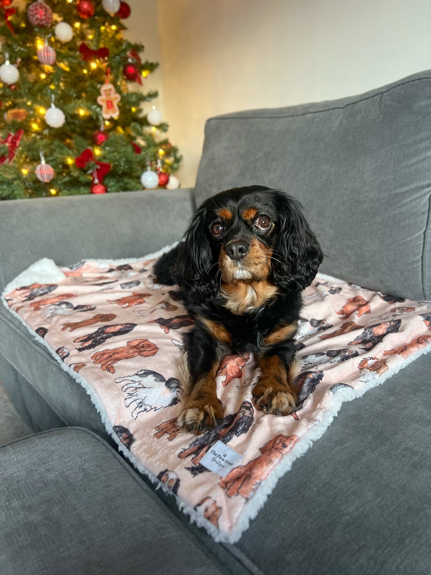 The Cavalier Dog Blanket
