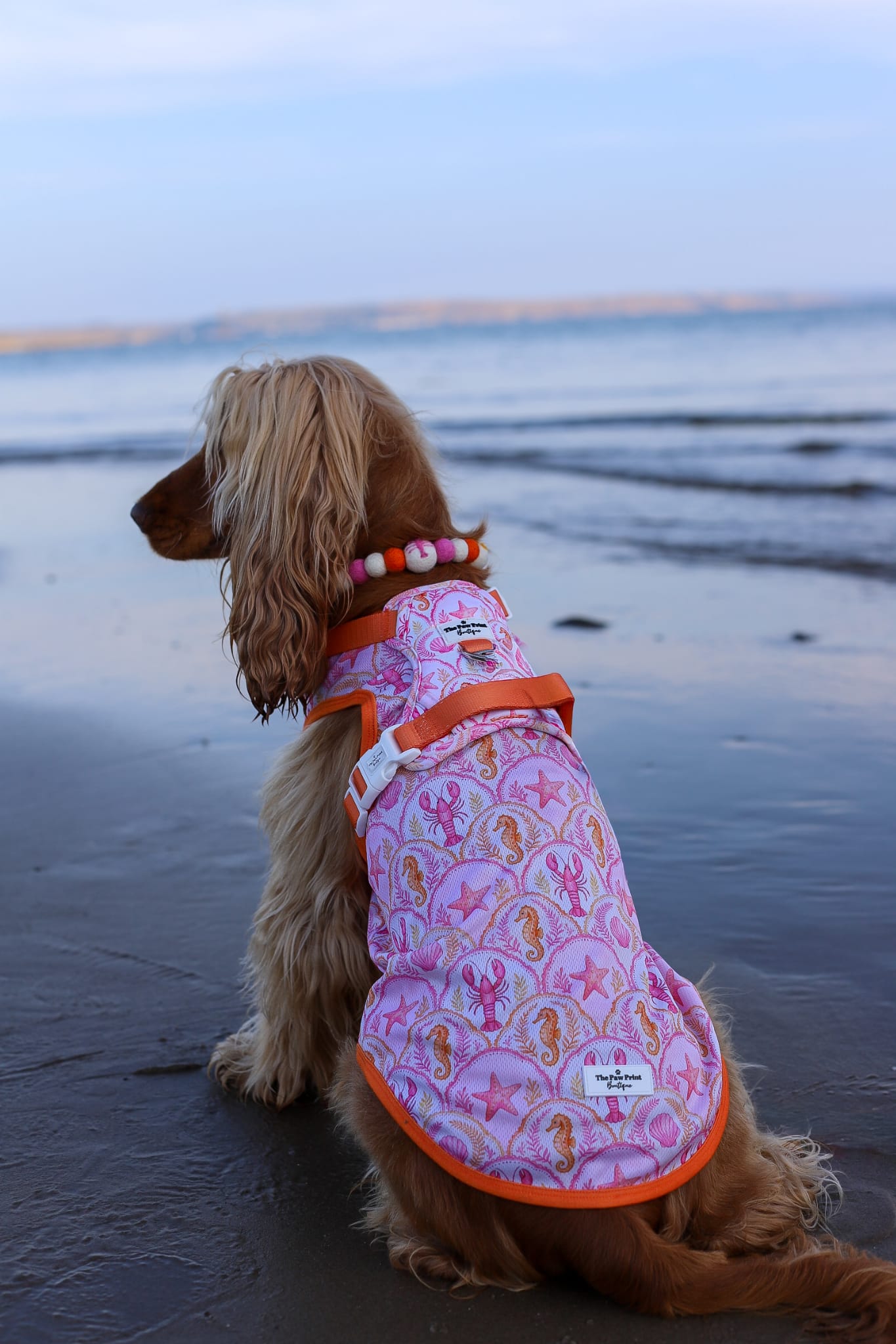 Under the Sea Cooling Vest
