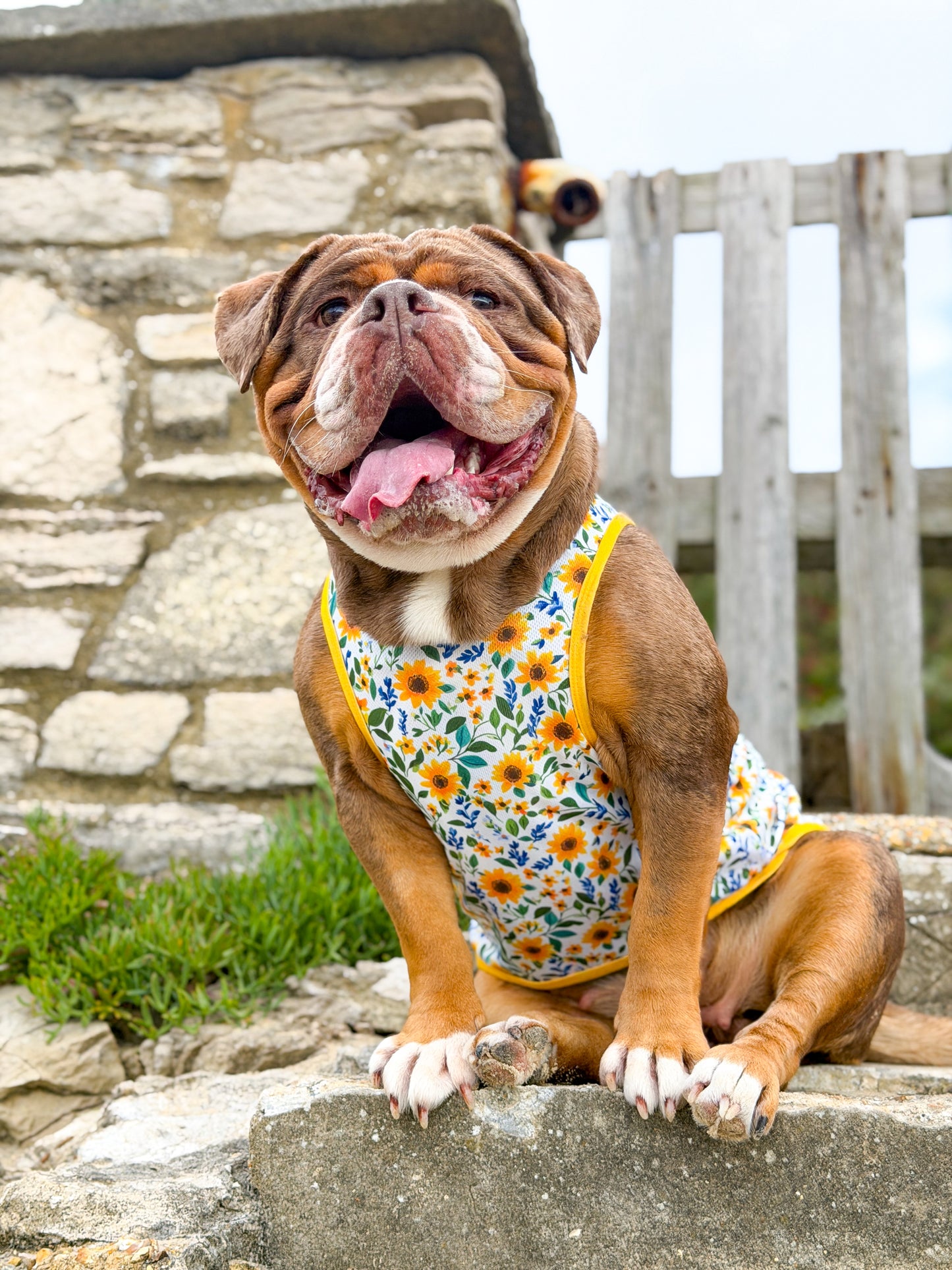 Sunny Sunflowers Cooling Vest