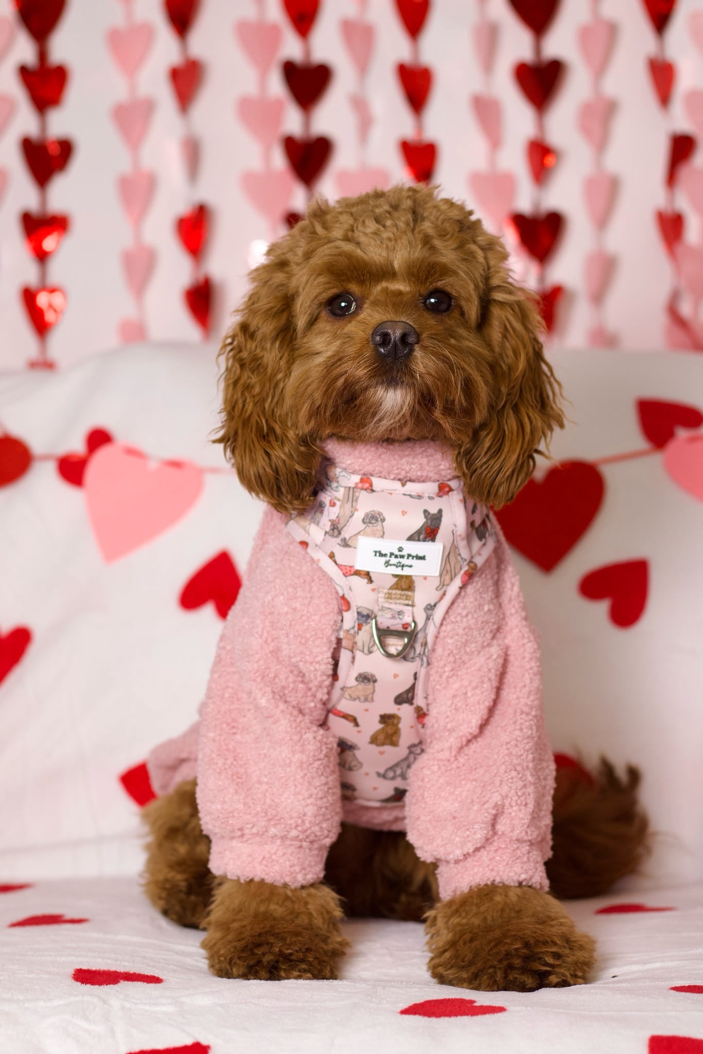 The Puppy Love Adventure Paws Harness