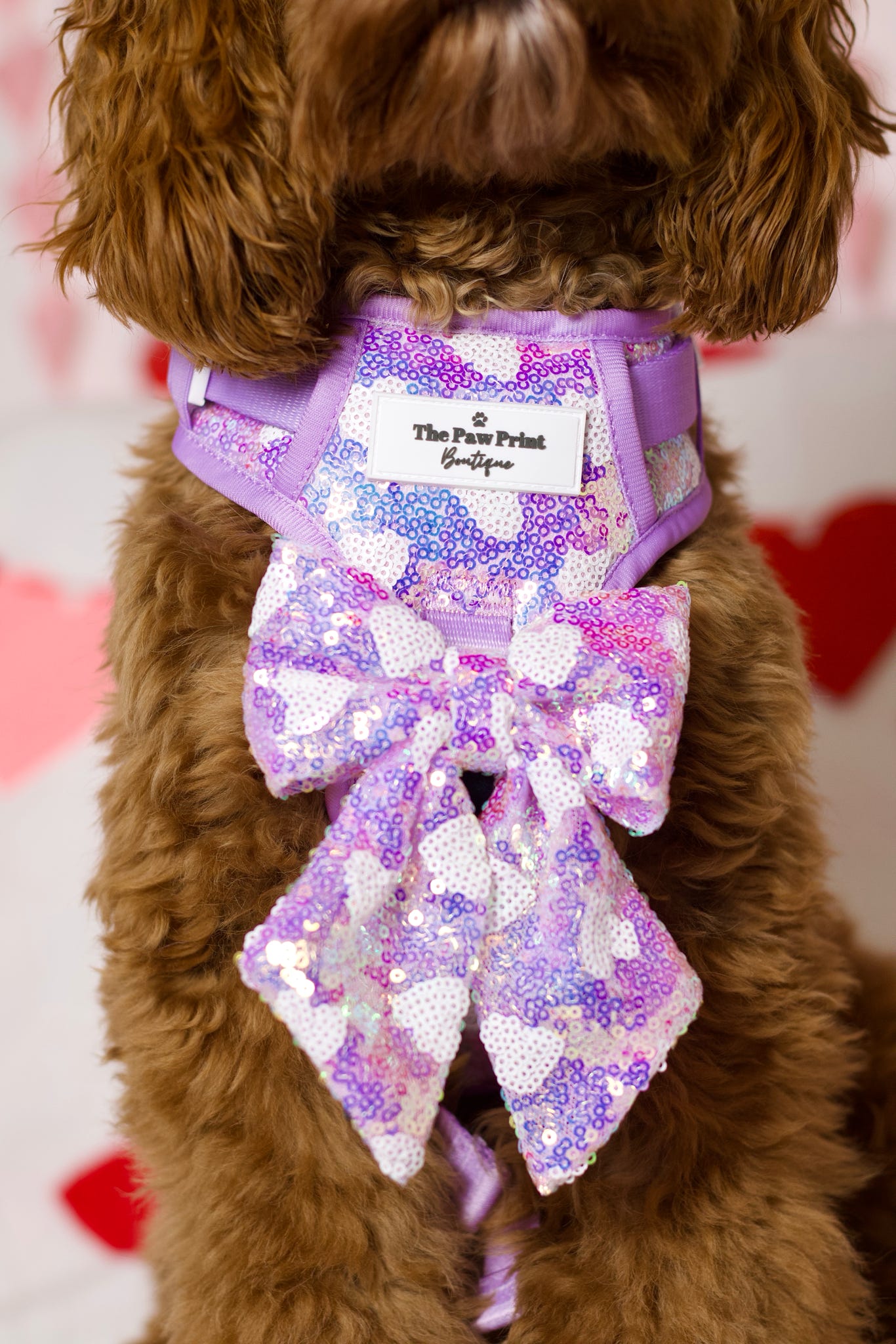 The Sassy in Sequins - Lilac Adventure Paws Harness