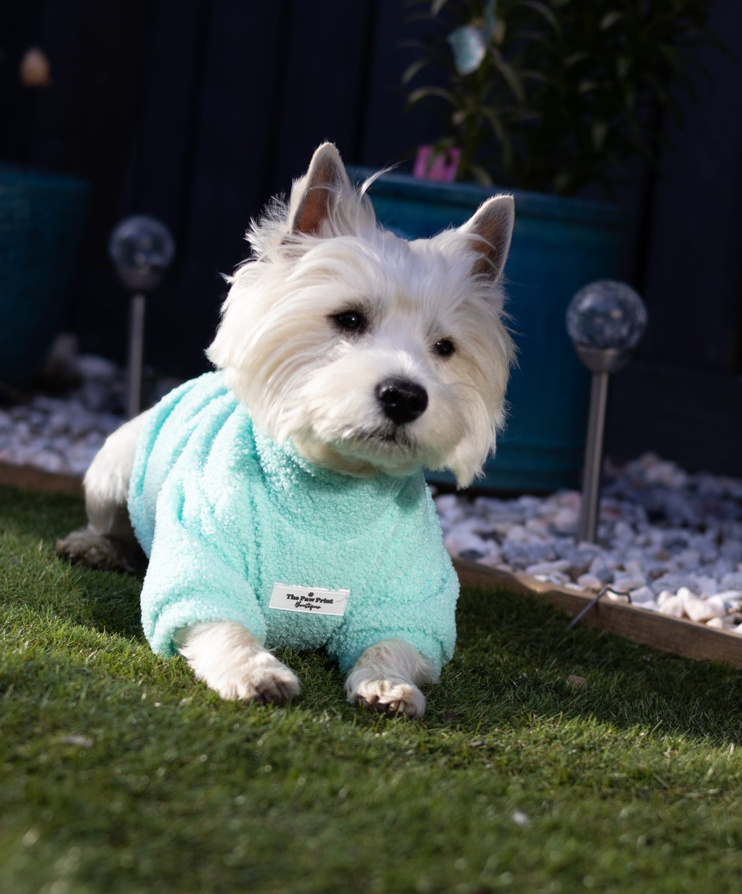 The Mint Teddy Fleece