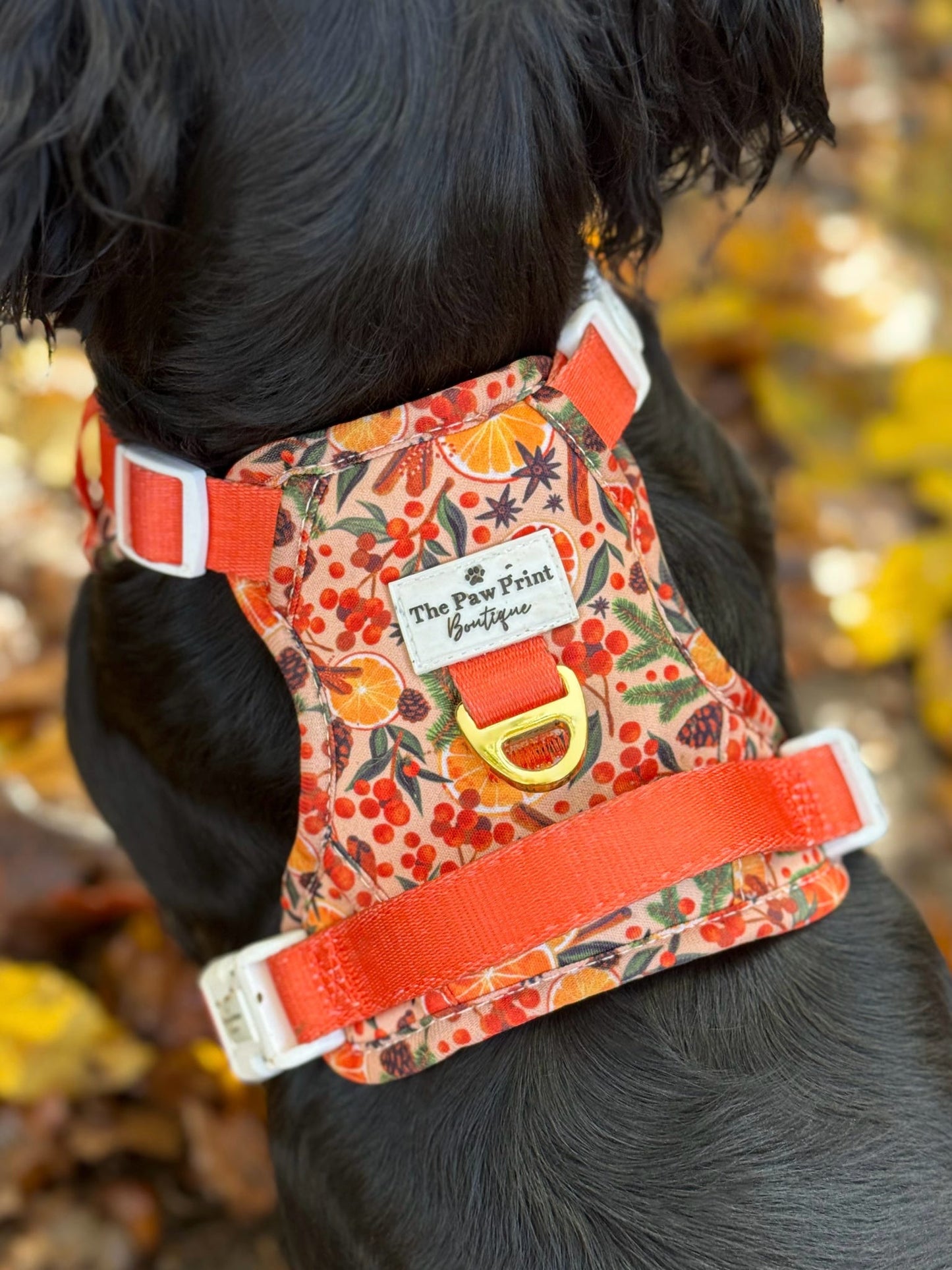 Winter Scents Adventure Paws Harness