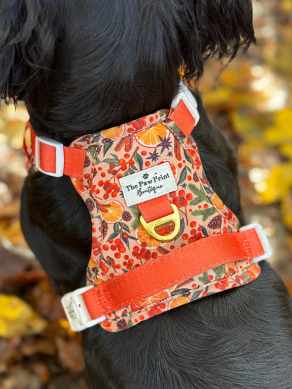 Winter Scents Adventure Paws Harness