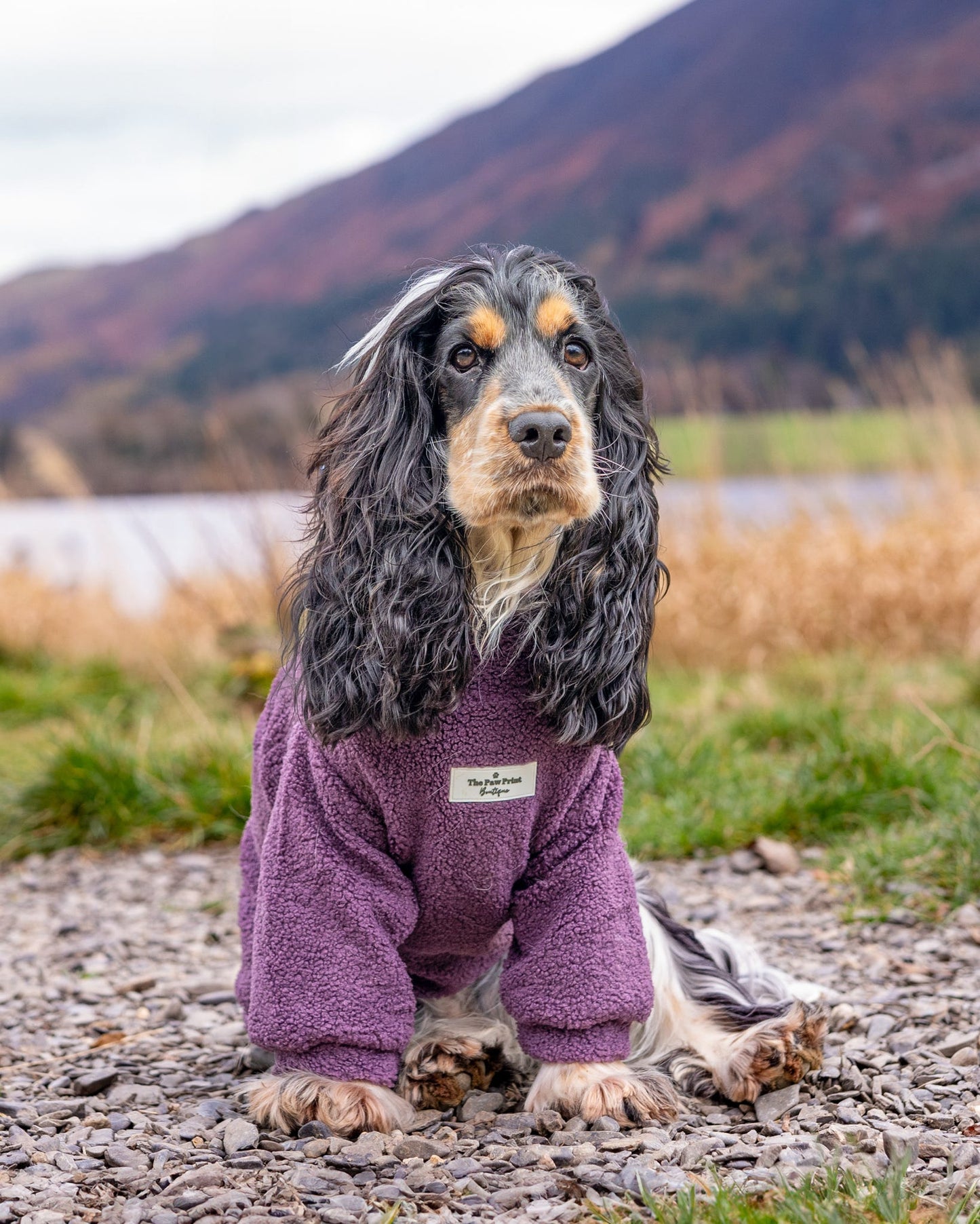 The Plum Teddy Fleece