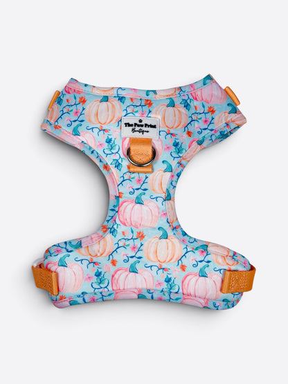 Pablos Pumpkins Adjustable Harness
