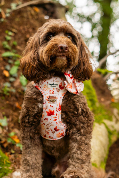 Maple Meadows Adventure Paws Harness