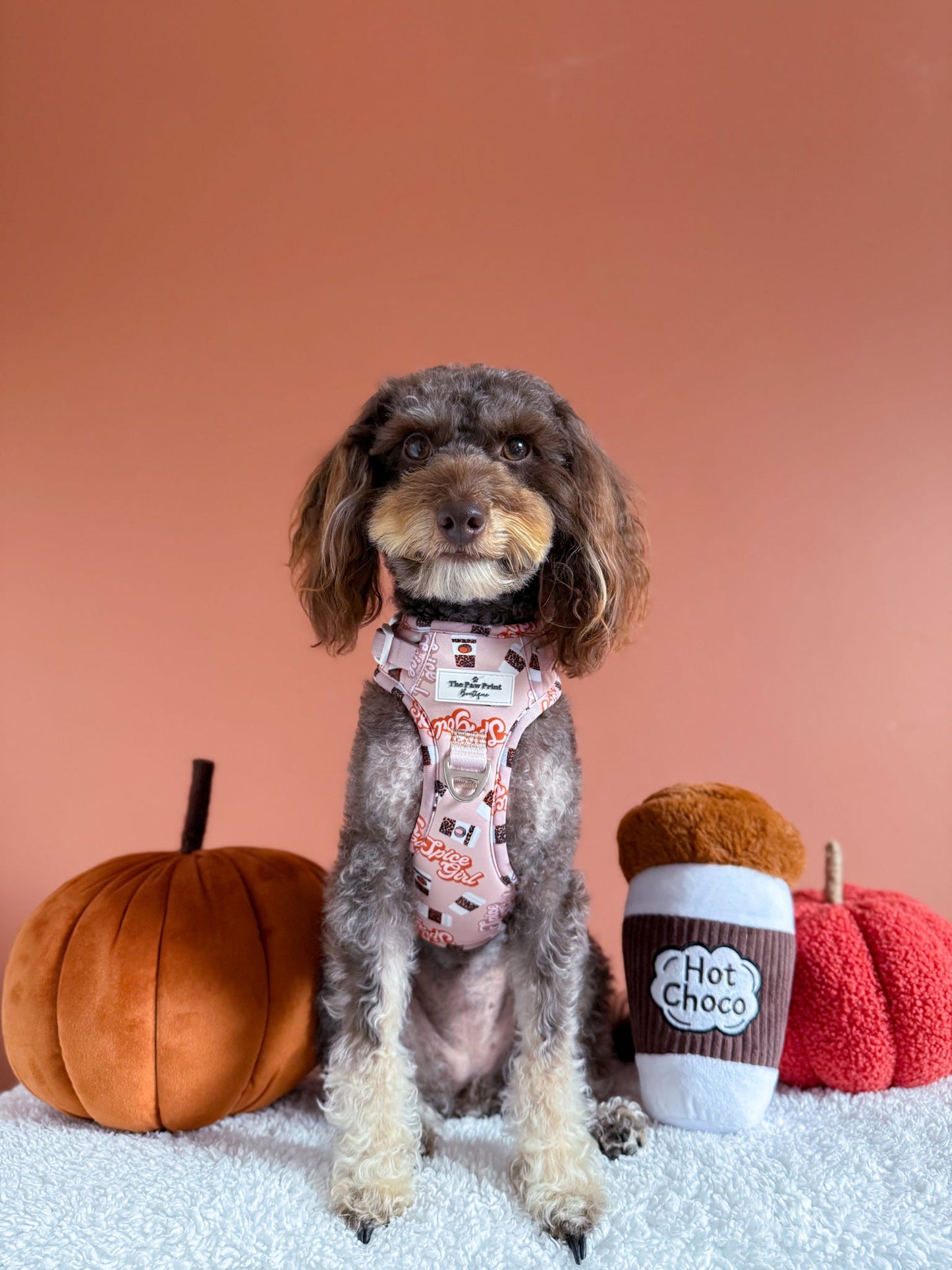 Spice Girl Adventure Paws Harness