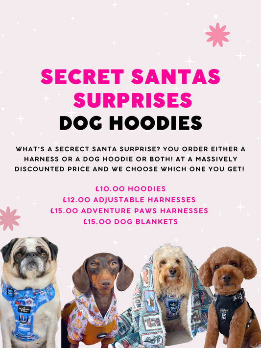 Secret Santas Surprise - Dog Hoodie