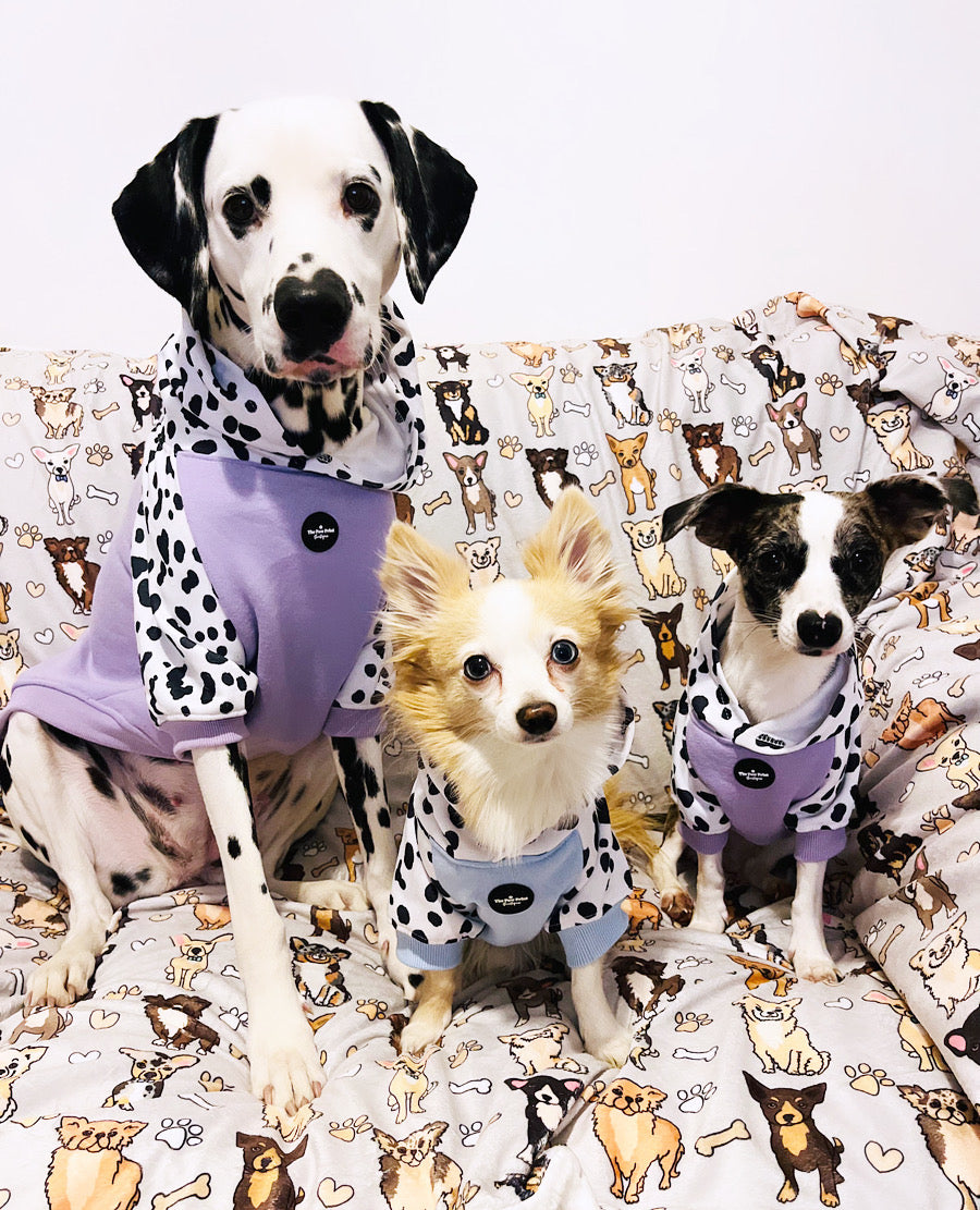 The Spots & Dots Dog Hoodie (Lilac)