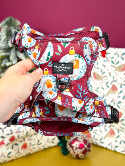 The Rockin' Robins Adventure Paws Harness