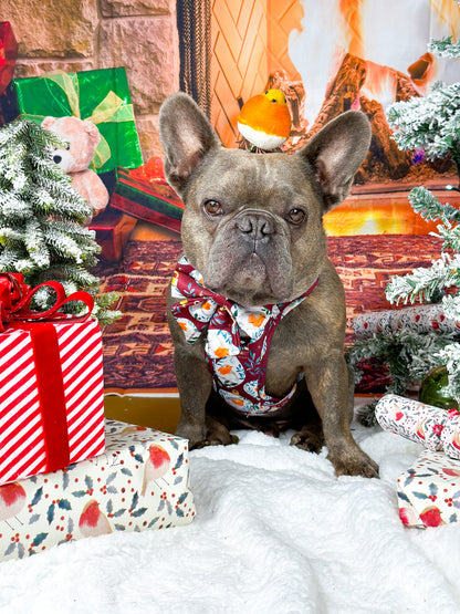 The Rockin' Robins Adventure Paws Harness