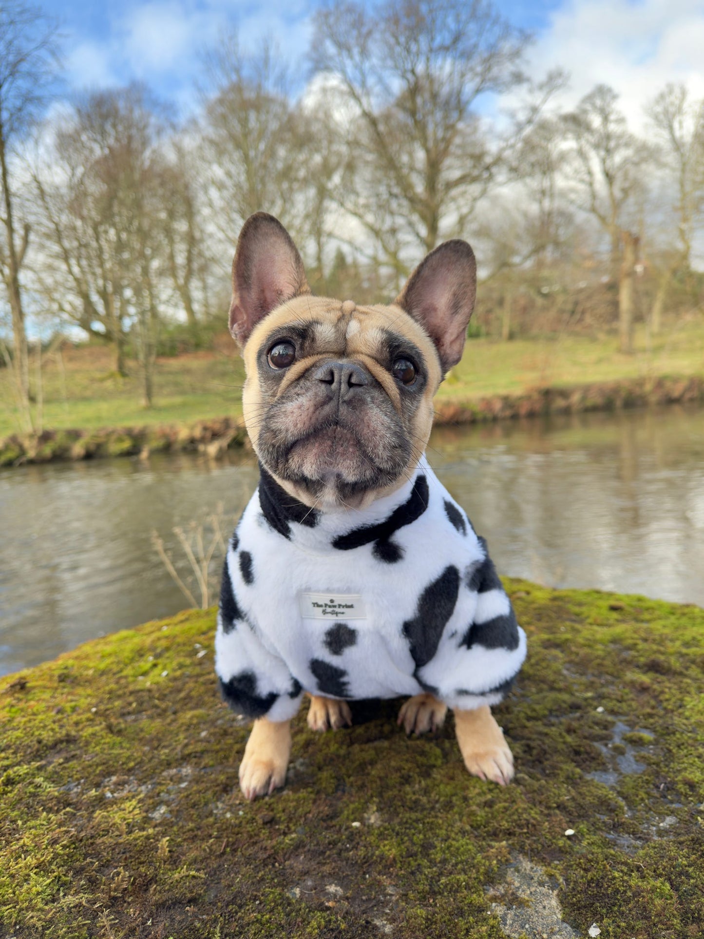 The Cow Print Fluffy & Fabulous Fleece